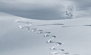 Piste de ski